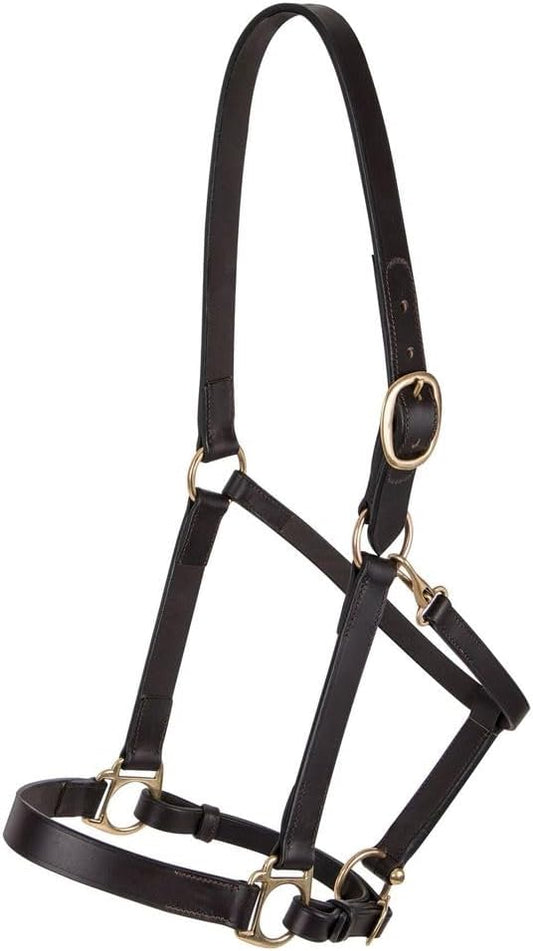 Dura-Tech Premier Lancaster Leather Halter for Horses | Simple Economy Leather Halter with Adjustable Fit & Solid Brass Hardware-PurrikoPets