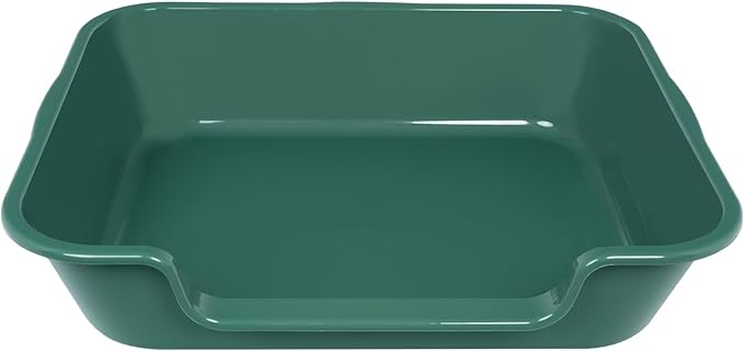 1 Pack of Extra Large Cat Litter Box (ABS Material), Low Entry Senior Litter Pen for Geriatric Kitty Big Cats, Jumbo Pet Safe Litter Boxes Tray for Indoor Pets Potty (Green, 24" L x 20" W)-PurrikoPets