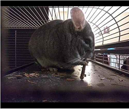 500g Apple Sticks Small Animals Molar Wood Toys for Rabbits Chinchillas Guinea Pig Hamster Gerbil Bunny and Small Animal Chew Stick Toys-PurrikoPets