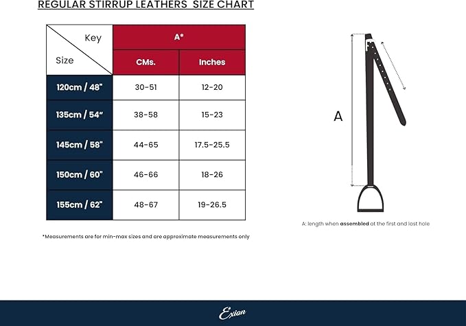 Exion Pre-Stretched Leather Stirrup Leathers for English Saddles | Premium Vegetable-Tanned Non-Stretch Stirrups for Jumping, Dressage & Schooling | 18-Hole Numbered Adjustment & SS Buckles-PurrikoPets