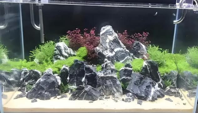 Dragon Stone Aquarium Rock Seiryu Stone for Aquariums, Fish Tanks, Bonsai, Terrariums, Wargaming Dioramas, Indoor or Outdoor Gardens-40Lb(2-10 Inch)-PurrikoPets