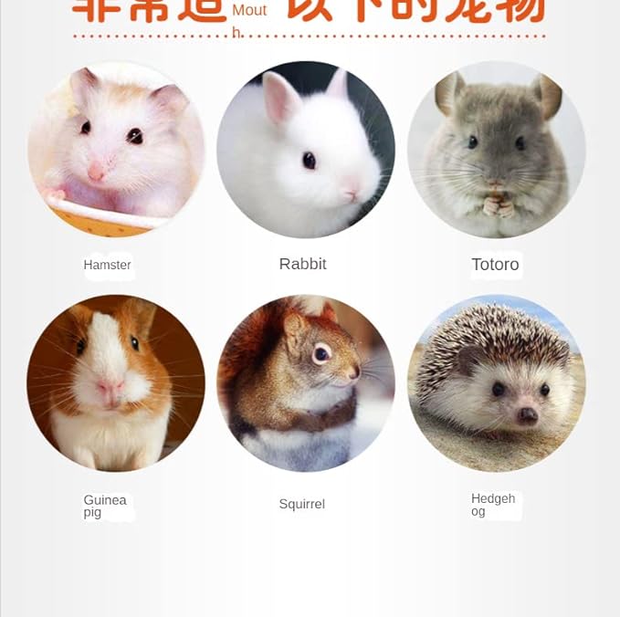 Food for Hamsters, Hedgehogs, Lizards, Frogs, Birds, Hedgehogs, Snacks, Nutritious, Small Animal Food-PurrikoPets