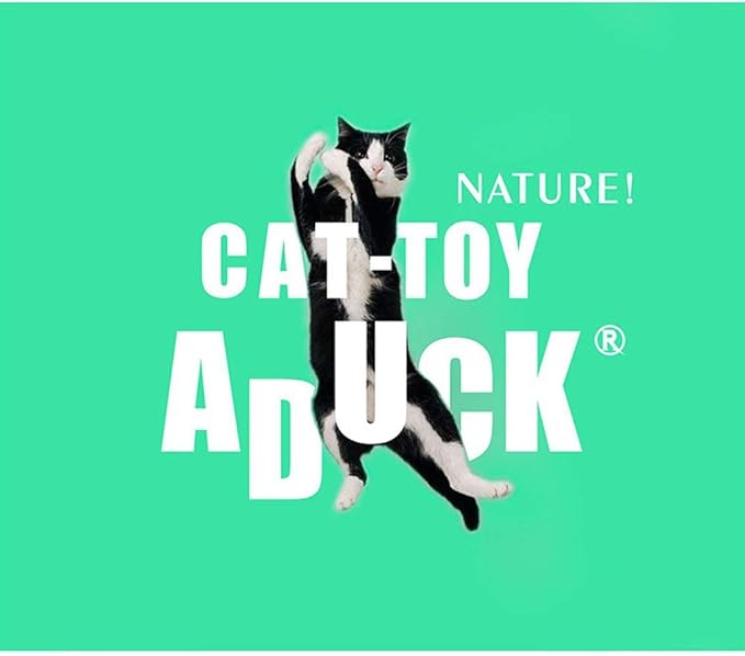 ADUCK Interactive Cat Teaser Wand Toy with Tassels - Durable Cat Chaser for Indoor Kitten Exercise, Boredom Relief & Training Play - Assorted Color, 1 Pack-PurrikoPets