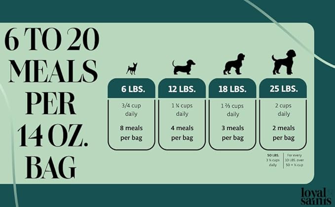 Freeze Dried Raw Dog Food - Premium Beef Flavor with High Protein and Grain Free Dog Food for Small or Large Breeds and Picky Eaters - Versatile as Meal Topper, Snack, and Treats, 14 Oz-PurrikoPets