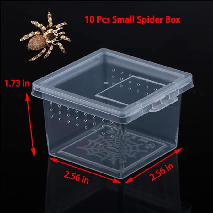 10 Pack Small Size Spider Terrariums Breeding Box Hatching Container Insect Scorpion Centipede Acrylic Breeding Box (with 10 Pcs Micro Water Bowl-PurrikoPets