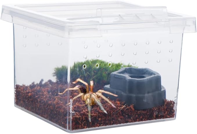 10 Pack Small Size Spider Terrariums Breeding Box Hatching Container Insect Scorpion Centipede Acrylic Breeding Box (with 10 Pcs Micro Water Bowl-PurrikoPets