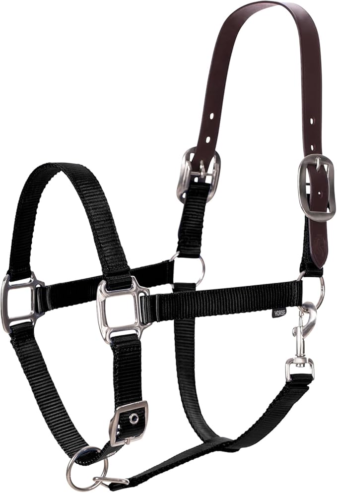 Equinavia Loki Adjustable Breakaway Horse Halter - Black - Warmblood-PurrikoPets