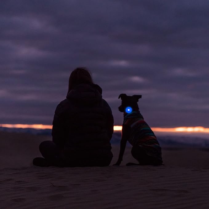 Airtag Holder for Dog Collar, Cibaabo Silicone Air Tag Case Cover Compatible with Apple Airtags for 0.8-1.2inch Cat Pet Collar Harness Loop-PurrikoPets