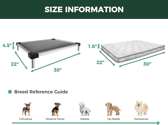 FXW TitanNest Chew-Proof Elevated Dog Bed, Raised Cot for Indoor/Outdoor/Camping Use, Durable & Washable Padded Pet Bed with Exclusive Cover for Extra-Small Dogs, 30.0" L x 22.0" W x 4.5" H, Gray-PurrikoPets