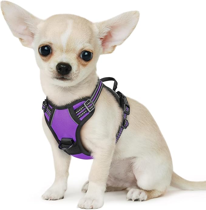 Eagloo Small Dog Harness No Pull, Service Vest with Reflective Strips and Control Handle, Adjustable and Comfortable for Easy Walking, No Choke Pet Harness with 2 Metal Rings, Purple, XS-PurrikoPets