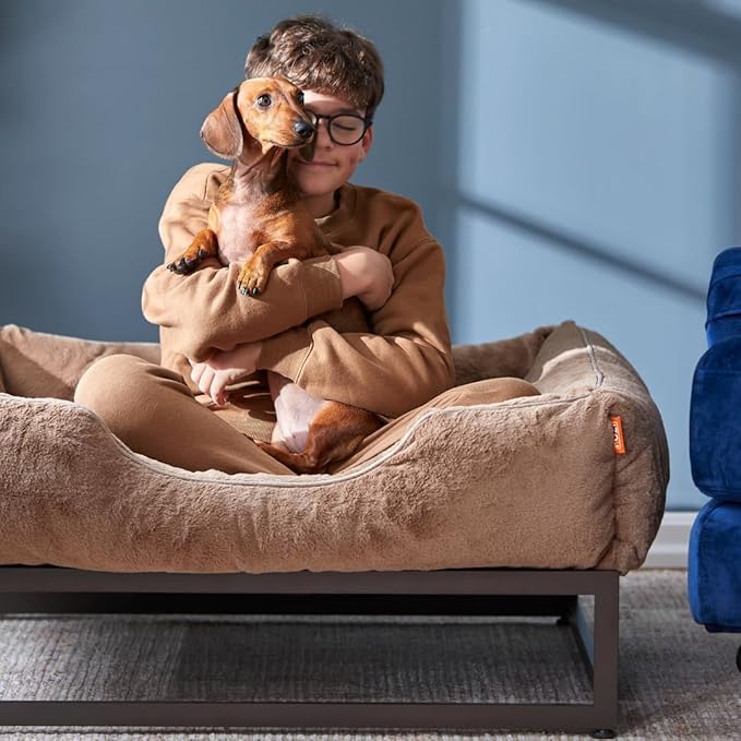 FUZI Luxury Aesthetic Dog Bed with Extra Cover for Small Dogs, Washable Pet Couch, Pet Bed with Sides, Non-Slip Bottom, Soft & Durable Calming Dog Bed, Faux Rabbit Fur, Small 25.1x16.75x9.5 Soft White-PurrikoPets