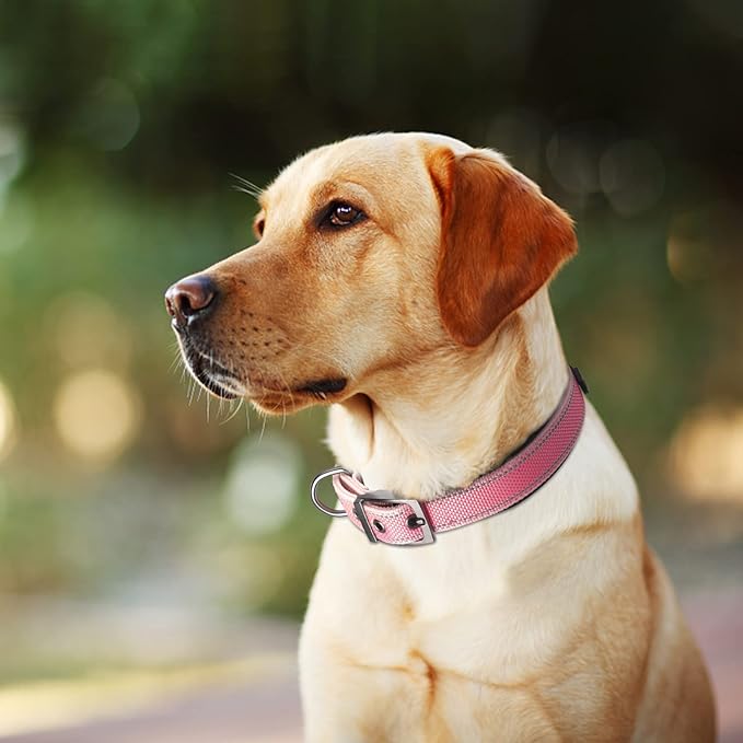 Fida Heavy Duty Dog Collar, Ultra Comfortable Soft Neoprene Padded, Adjustable Reflective Nylon Pet Collar with Durable Metal Belt Buckle for Large Breeds (L, Pink)-PurrikoPets