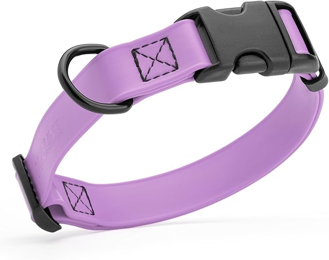 Dogline Biothane Waterproof Dog Collar with Quick Release Buckle Strong Coated Nylon Webbing with Odor- Proof for Easy Care Easy to Clean Fits Small Medium Large Dogs, Amethyst Purple 3/4" W 12-19" L-PurrikoPets