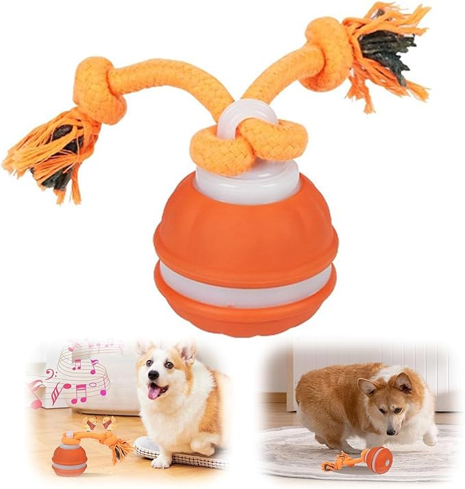 2026 New Interactive Pet Toy Ball, Smart Interactive Ball for Cats & Dogs, Electric Rolling Pet Toy Ball, Rechargeable Interactive Cat Toys for Bored Indoor Cats Kittens to Keep Busy (Orange)-PurrikoPets