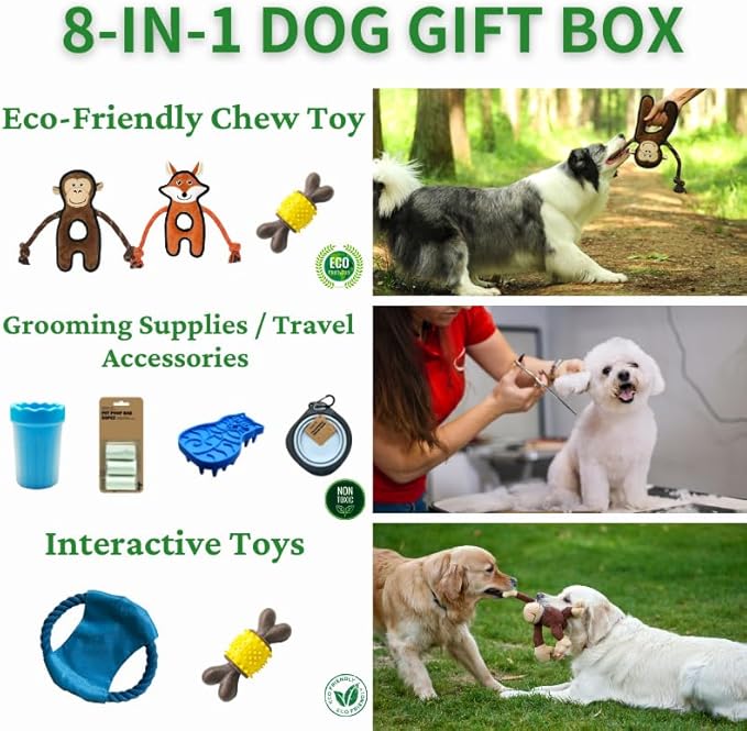 Durable Dog Chew Toys Gift Box – Eco-Friendly Teething Toys for Aggressive Chewers, Plush & Squeaky Toys, Toothbrush, Ideal Gift Basket for Medium & Large Dogs-PurrikoPets