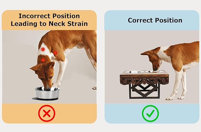 Elevated Pet Feeder for Dogs and Cats - The Bali Carved Wood Pet Feeding Stand with Two Stainless Steel Bowls - Three Heights Adjustable Raised Dog Bowl - Food Water Pet Feeding Station - IRONGATE-PurrikoPets