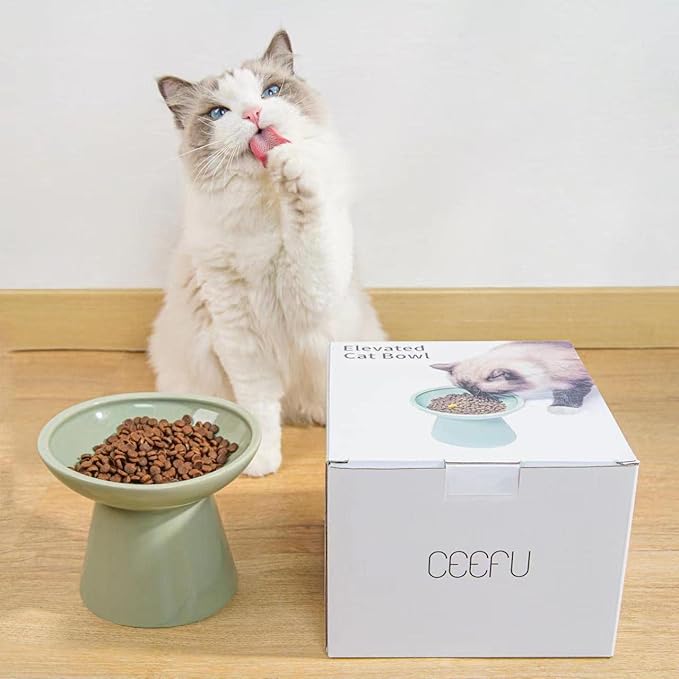Extra Wide Elevated Ceramic Cat Food Bowl - 6.2" Shallow Dish for Whisker Fatigue Relief, 5" Height for Easy Feeding, Lead & Cadmium Free, Durable Raised Cat Food Bowls, Sage Green-PurrikoPets