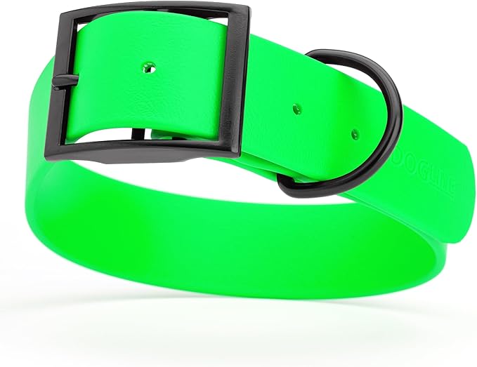 Dogline Biothane Waterproof Dog Collar Strong Coated Nylon Webbing with Black Hardware Odor- Proof for Easy Care Easy to Clean High Performance Fits Small Medium or Large Dogs, Tropical Green-PurrikoPets