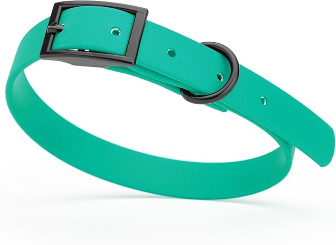 Dogline Biothane Waterproof Dog Collar Strong Coated Nylon Webbing with Black Hardware Odor- Proof for Easy Care Easy to Clean High Performance Fits Small Medium or Large Dogs, Teal-PurrikoPets