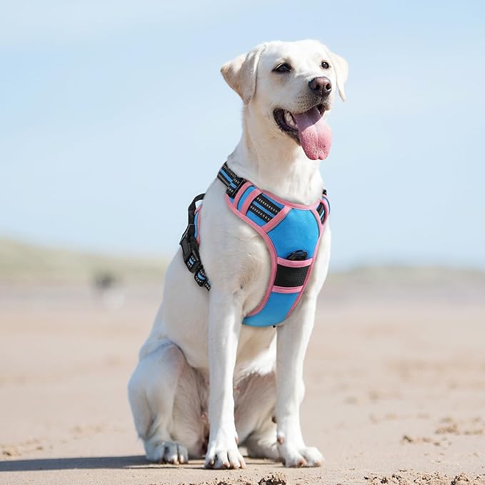 Eagloo Dog Harness for Large Dogs, No Pull Service Vest with Reflective Strips and Control Handle, Adjustable and Comfortable for Walking, No Choke Pet Harness with 2 Metal Rings, Pink & Blue, L-PurrikoPets
