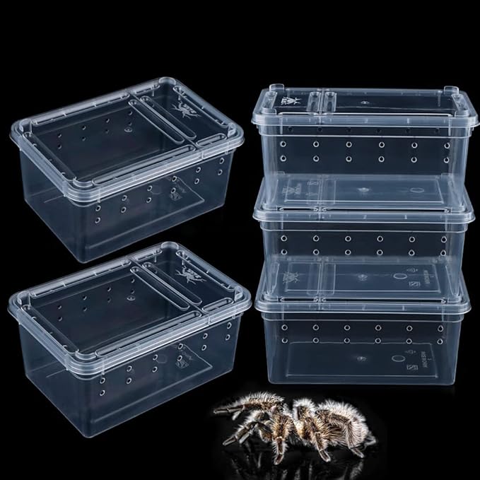 5 Pcs Spider Small Terrariums Breeding Box Transparent Hatching Container Plastic Feeding Box for Small Reptile Spider Scorpion Centipede Insect-PurrikoPets