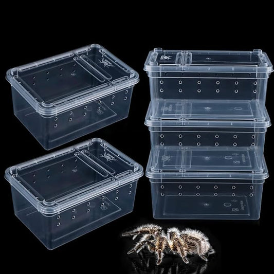 5 Pcs Spider Small Terrariums Breeding Box Transparent Hatching Container Plastic Feeding Box for Small Reptile Spider Scorpion Centipede Insect-PurrikoPets