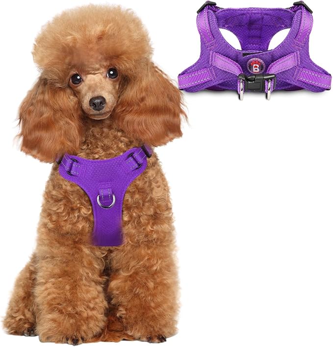 Dog Harness Step in Dog Vest Harness, Reflective Adjustable Puppy No Pull Harness Breathable Soft for Small and Medium Dogs Cats, Purple, XS-PurrikoPets