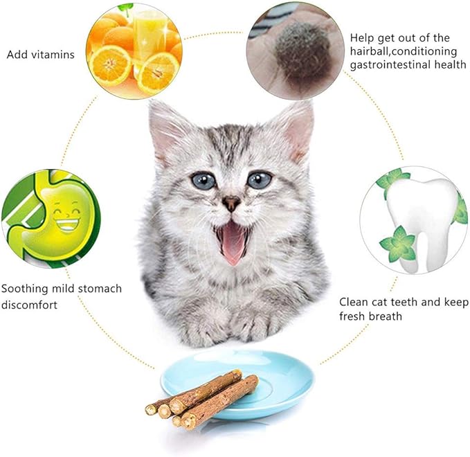 10 PCS Cat Catnip Sticks, Natural Matatabi Silvervine Sticks - Cleaning Teeth Molar Tools Kitten Chew Toy Natural Catnip Cats Toy-PurrikoPets