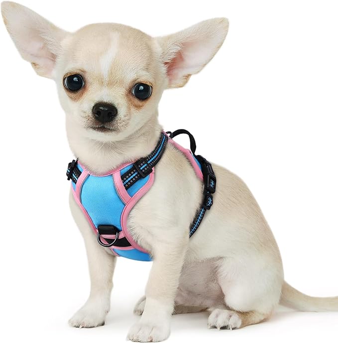 Eagloo Small Dog Harness No Pull, Service Vest with Reflective Strips and Control Handle, Adjustable and Comfortable for Walking, No Choke Pet Harness with 2 Metal Rings, Pink & Blue, XS-PurrikoPets