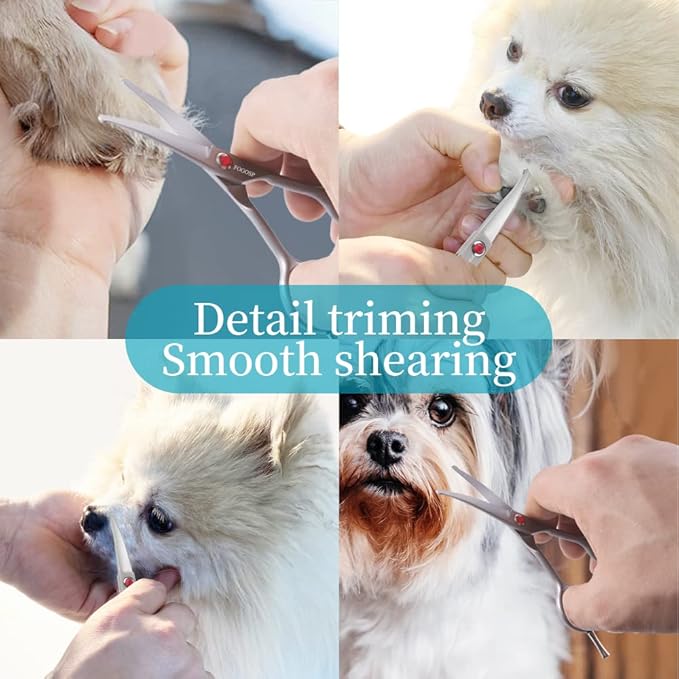4.5" Curved Dog Scissors for Grooming Face and Paws with Safety Round Tip for Small Dogs Face Paw Ears Trimmer Professional Small Cat Grooming Shears (4.5" Curved, Gray)-PurrikoPets