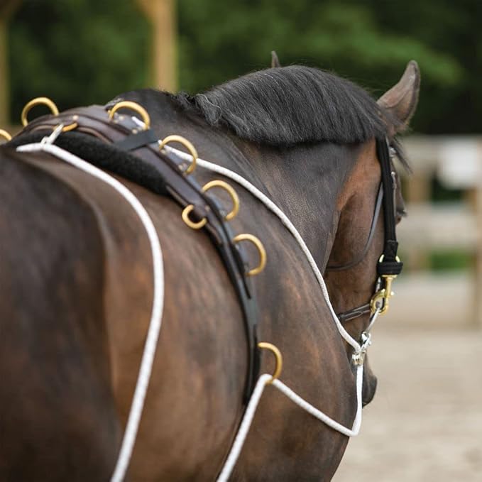 Advanced European Training System | Advanced Training Tool | Enhances Horse Carriage and Headset | Encourages Forward Movement | Strengthens Key Muscles | Not for Beginners-PurrikoPets