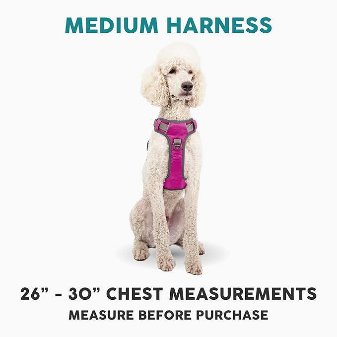 Embark Adventure Dog Harness, Reflective Trim No Pull Dog Harness Medium Sized Dogs - Military Grade Nylon, Front Clip with Gel Lined Handle.-PurrikoPets