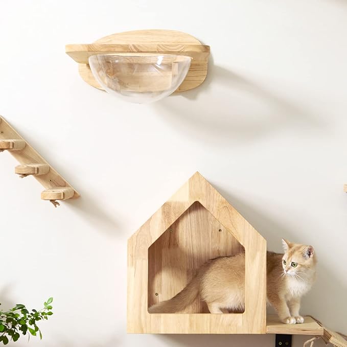 FUKUMARU Cat Wall Furniture Set, Transparent Capsule Kitten Walls Shelves with 2 PCS Pedals - Premium Kitty Bed for Sleeping, Playing, Climbing, and Lounging - Easily Holds Up to 35 Lbs-PurrikoPets