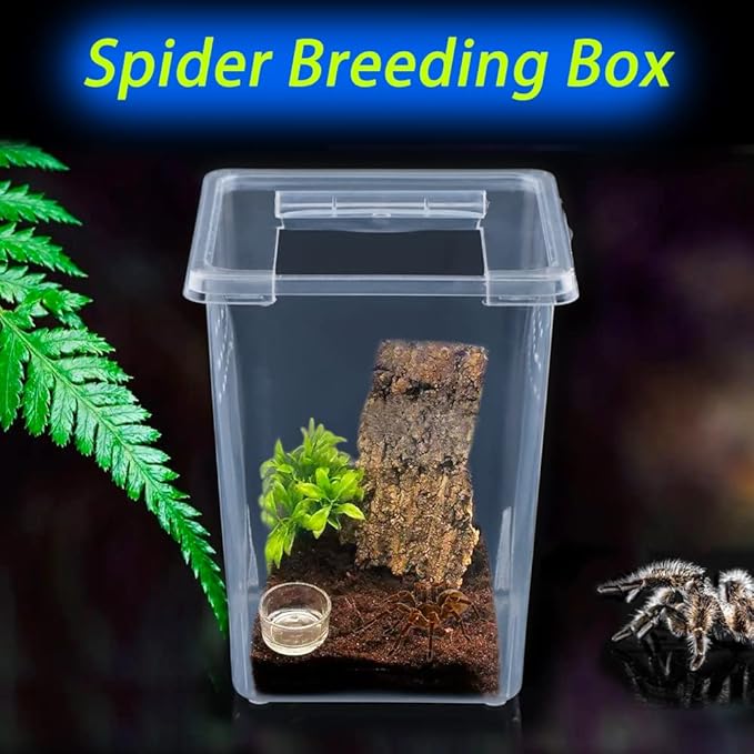 10 Pack Spider Terrariums Breeding Box Small Reptile Hatching Container Acrylic Feeding Box for Arboreal Spider Tarantula Mantis Scorpion Centipede Insect (5 High+5 Small)-PurrikoPets