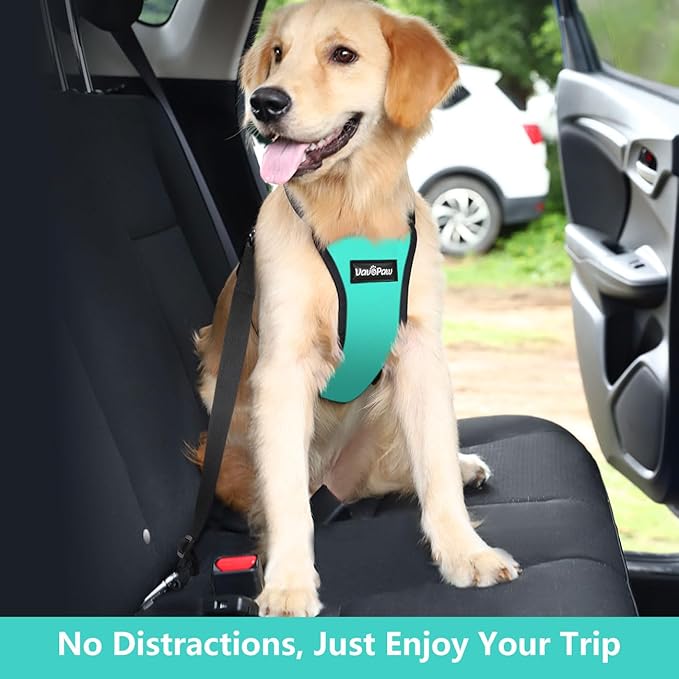 Dog Seat Belt, Safety Vest Dog Car Harness with Adjustable Buckle Dog Seat Belt for Vehicle Nylon Pet Safety Seat Belts Heavy Duty(XXL, Blue)-PurrikoPets