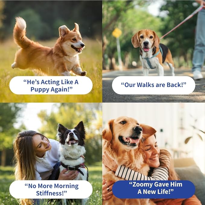 Dog Joint Supplement Powder with Glucosamine, Chondroitin & MSM – Hip & Joint Support for Mobility, Stiffness & Flexibility – Mushroom Blend with Lion’s Mane, Cordyceps & Reishi – Zoomy-PurrikoPets