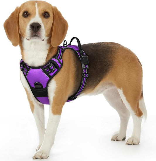 Eagloo Dog Harness Small Sized Dog, No Pull Service Vest with Reflective Strips and Control Handle, Adjustable and Comfortable for Walking, No Choke Pet Harness with 2 Metal Rings, Purple, S-PurrikoPets
