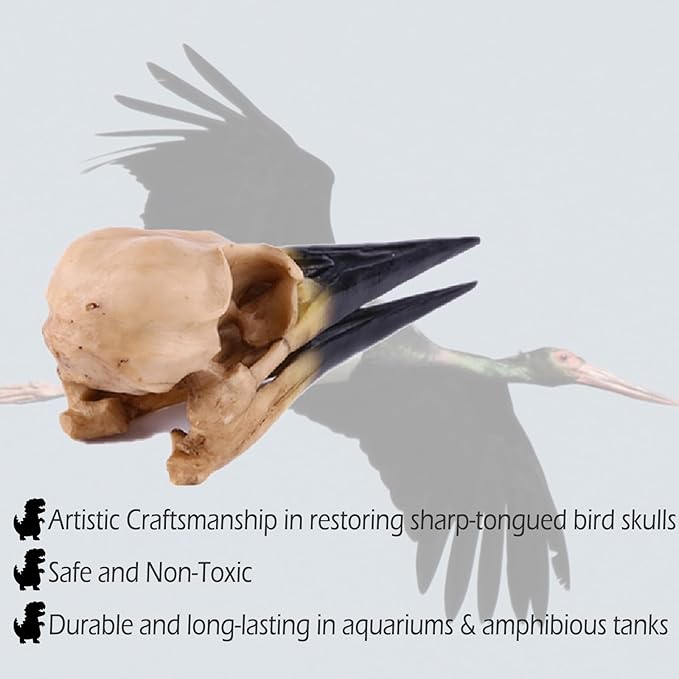 Fish Cave Hideout Ornament Décor for Terrarium Dinosaur Animal Skull Aquarium Large Decorations Betta Tarantula Reptile Snake Decor Bones Halloween-PurrikoPets