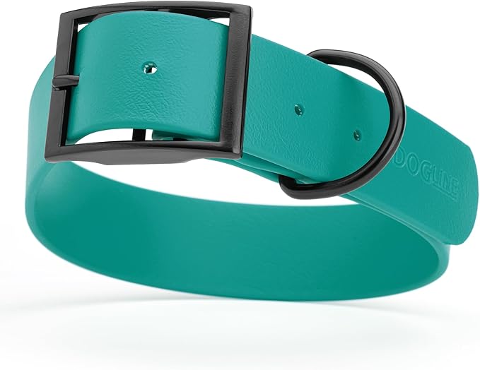 Dogline Biothane Waterproof Dog Collar Strong Coated Nylon Webbing with Black Hardware Odor- Proof for Easy Care Easy to Clean High Performance Fits Small Medium or Large Dogs, Blue Aqua-PurrikoPets