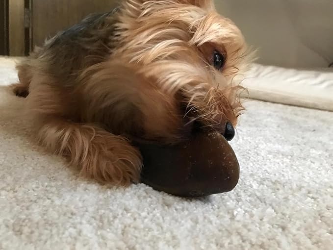 Full-Size Cow Hooves for Dogs | (5 Pack) All-Natural Long Lasting Dog Chews | Made from Grass Fed Cattle | Tasty Treat for Oral Hygiene | Fantastic Alternative for Rawhide and Bully Sticks-PurrikoPets