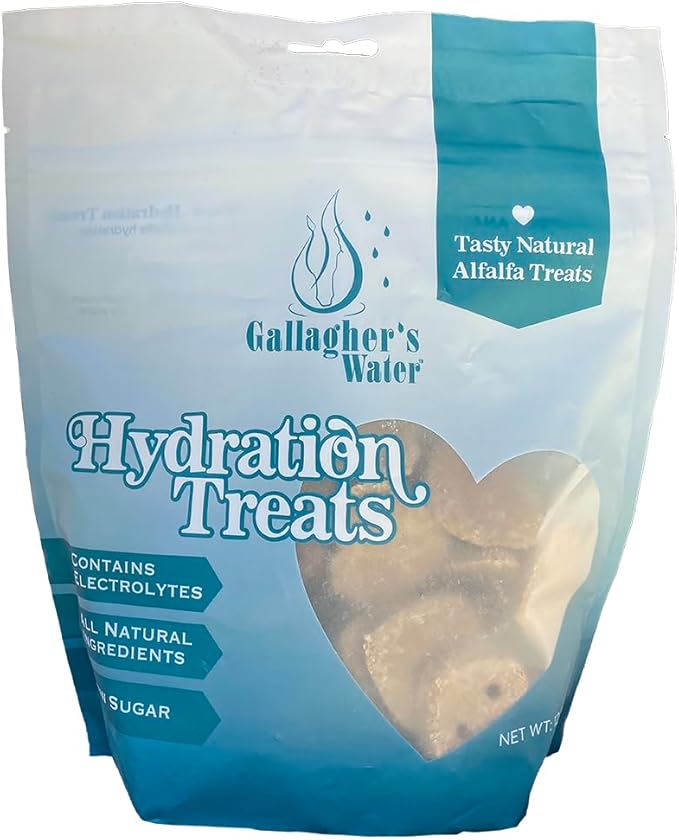 GALLAGHER'S WATER Hydration Treats for Horses. Crunchy Tasty Treats with Electrolytes. 12oz Bag-PurrikoPets