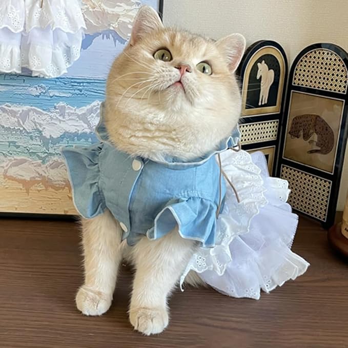 Girl Dog Denim Dress with Flared Sleeves Dog Jeans Jacket Blue White Puppy Clothes for Small Dogs Cat Apparel Cake Skirt Pet Outfit (Blue, Large)-PurrikoPets