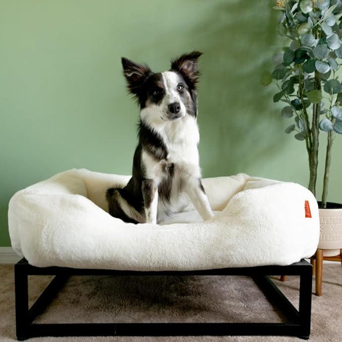 FUZI Luxury Aesthetic Dog Bed with Extra Cover for Large Dogs, Washable Pet Couch, Pet Bed with Sides, Non-Slip Bottom, Soft and Durable Calming Dog Bed, Faux Fur, Large 35.6x28.5x9.5 Soft White-PurrikoPets