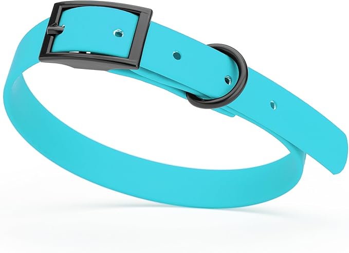 Dogline Biothane Waterproof Dog Collar Strong Coated Nylon Webbing with Black Hardware Odor- Proof for Easy Care Easy to Clean High Performance Fits Small Medium or Large Dogs, Sky Blue-PurrikoPets