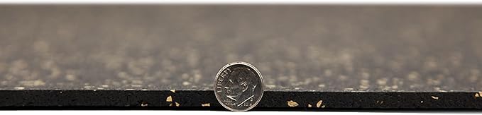 Flooring Inc's 1/4" Thick Tough Rubber Flooring Roll | Flexible Recycled Rubber Floor Mats for Home Gym | Heavy Duty Rubber Mat for Home Gyms, Sheds, Horse Stall Mat or Trailer-PurrikoPets