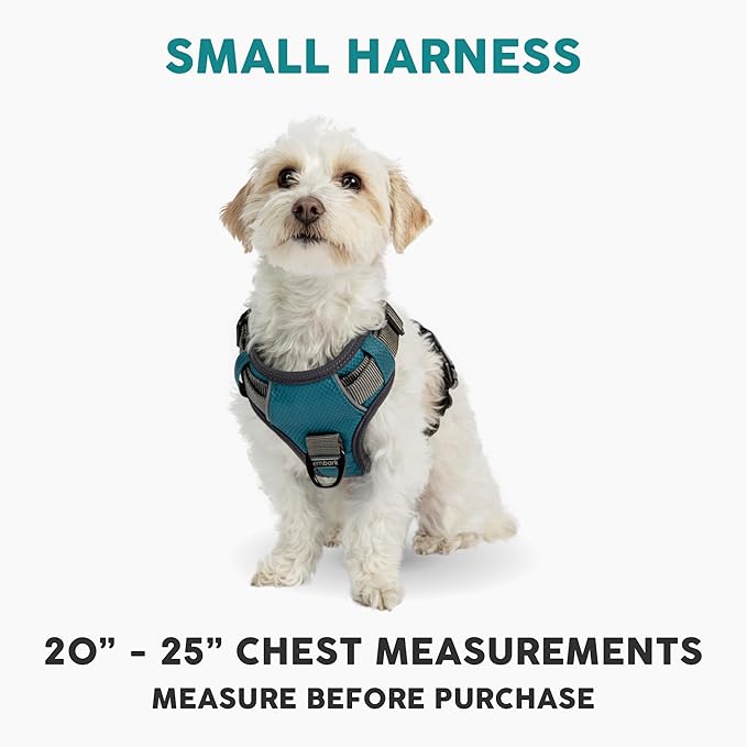 Embark Adventure Dog Harness, Easy On and Off with Front and Back Leash Attachment Points & Control Handle - No Pull Training, Size Adjustable and No Choke (Small - Teal Blue)-PurrikoPets