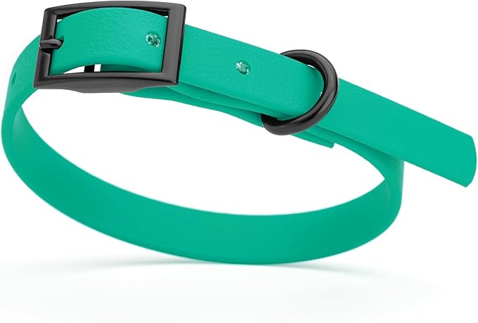 Dogline Biothane Waterproof Dog Collar Strong Coated Nylon Webbing with Black Hardware Odor- Proof for Easy Care Easy to Clean High Performance Fits Small Medium or Large Dogs, Teal-PurrikoPets