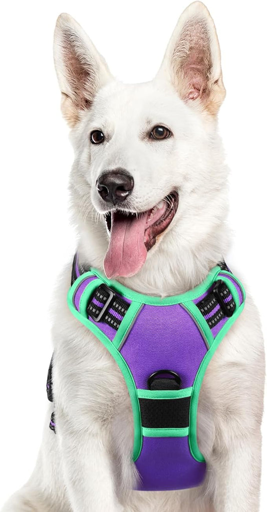 Eagloo Dog Harness for Large Dogs, No Pull Service Vest with Reflective Strips and Control Handle, Adjustable and Comfortable for Walking, No Choke Pet Harness with 2 Metal Rings, Purple & Green, XL-PurrikoPets