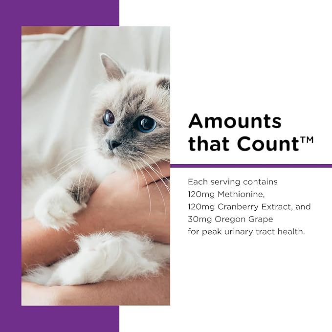 Feline Paw Gel-PurrikoPets