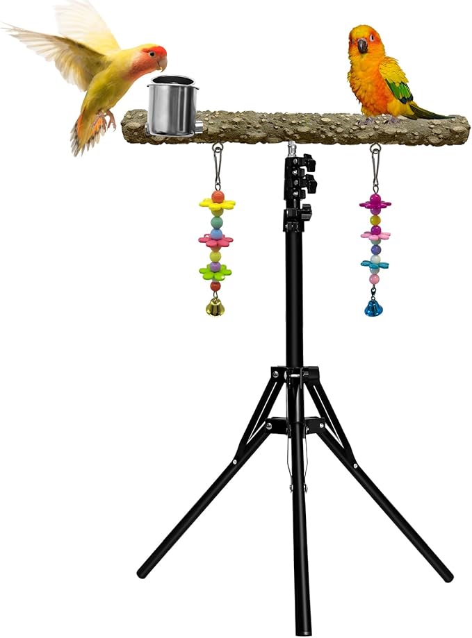 16-63 Inch Height Adjustable Bird Perch Pepper Wood Parrot Training Perch Stand with Feeding Cups and Swing Toy Parakeet Perches Indoor and Outdoor Parrot Stands for Small to Medium Bird-PurrikoPets